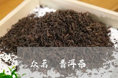 众茗 普洱茶/2023091283927